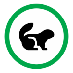 groundhog