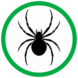 orb weaver spiders